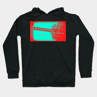 Princeton Street, Santa Monica, California by Mistah Wilson Hoodie